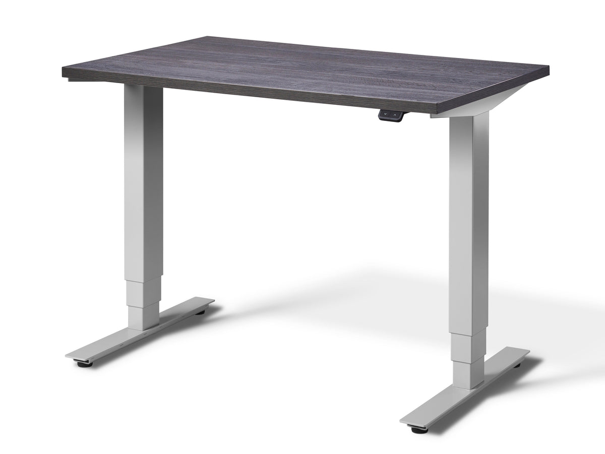 Stockholm Micro Standing Desk White Desk Frame(With Bluetooth Control)