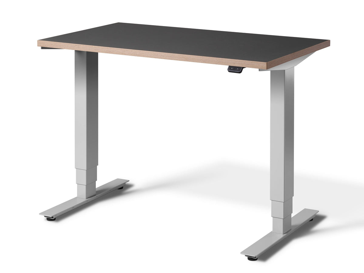 Stockholm Micro Standing Desk White Desk Frame(With Bluetooth Control)