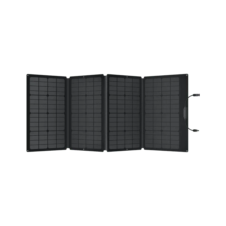 EcoFlow DELTA 2 Max + 160W Solar Panel | Expandable Solar Generator