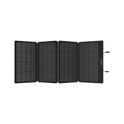 EcoFlow DELTA 2 Max + 160W Solar Panel | Expandable Solar Generator