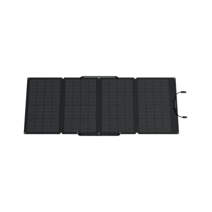 EcoFlow RIVER 2 Pro Solar Generator with 160W Solar Panel